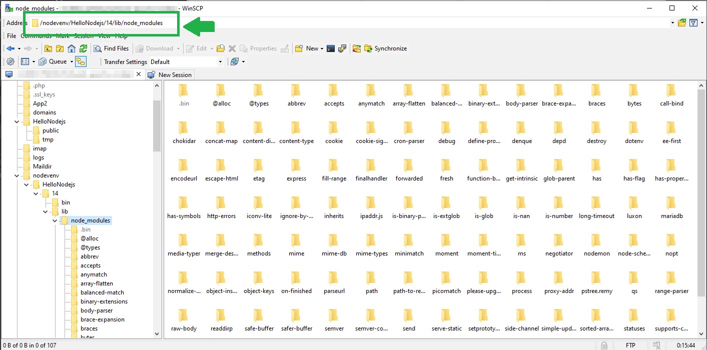 การ Run NPM Install - HOSTNEVERDIE